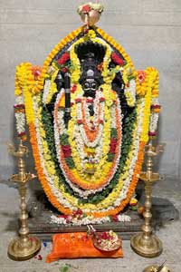 ಮಣ್ಣೆತ್ತಿನ ಅಮವಾಸ್ಯೆ : ಮಲೇಬೆನ್ನೂರಿನಲ್ಲಿ ಪೂಜೆ - Janathavani