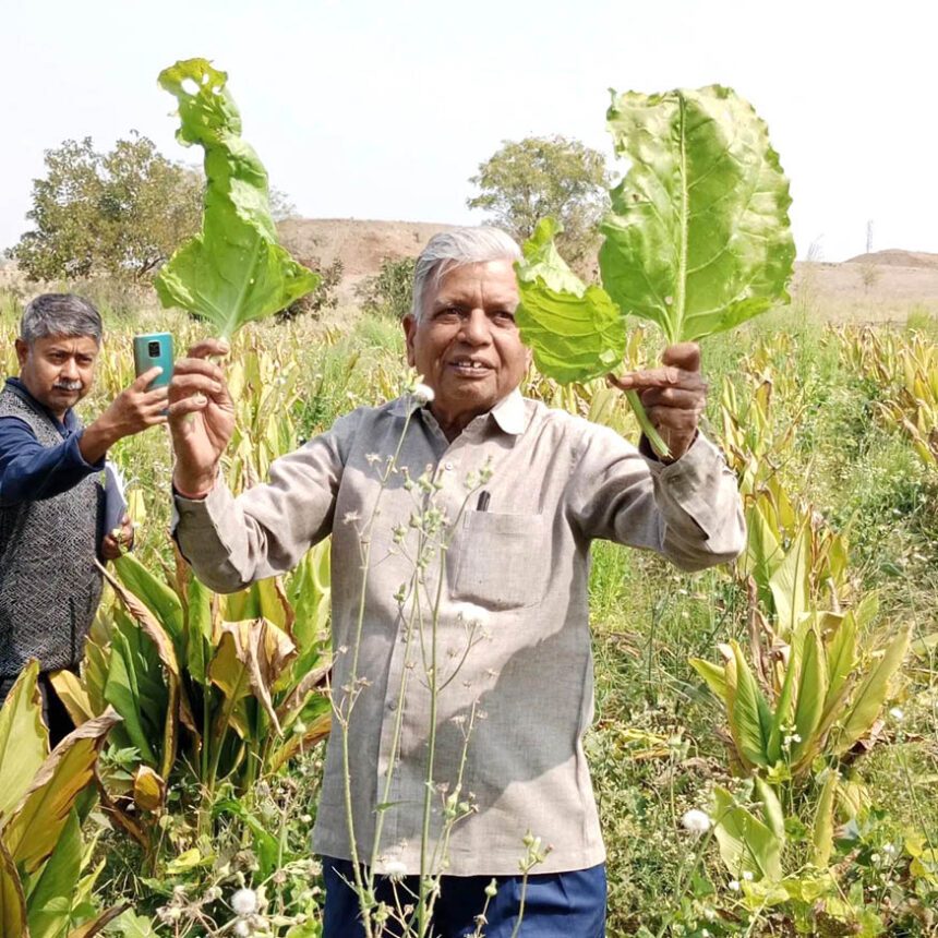 ಹೊಲಕ್ಕೆ ‘ಊಟ’ ಹಾಕದ ಮಾನವನ ‘ಮೂರ್ಖತನ’