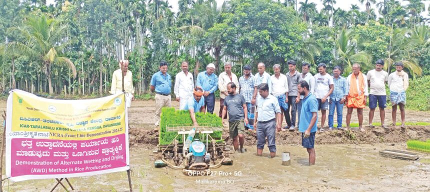 ನೀರಿನ ಕೊರತೆ ನೀಗಿಸಲು ಹಸಿ ಮತ್ತು ಒಣಗಿಸುವ ಪದ್ಧತಿ ಸೂಕ್ತ