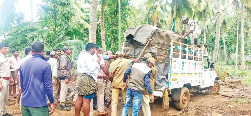 ಅರಕೆರೆ : ಚಿರತೆ ಸೆರೆ, ಜನತೆ ನಿರಾಳ