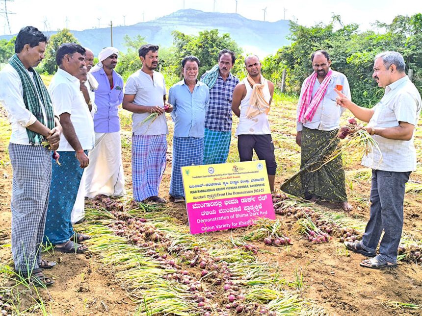 ಈರುಳ್ಳಿ ಬೆಳೆಗೆ ನೇರಳೆ ಎಲೆ ಮಚ್ಚೆ ರೋಗ ಬಾಧೆ