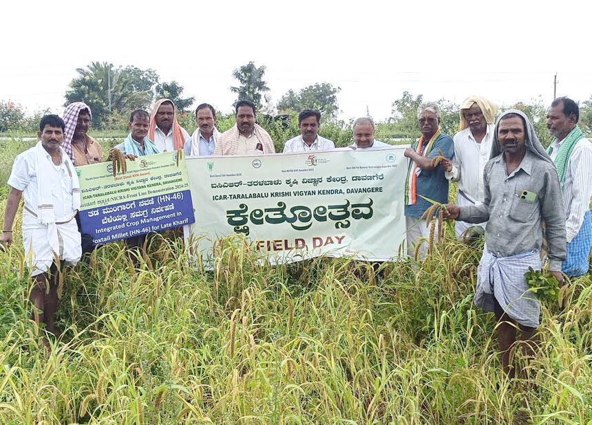 ಉತ್ತಮ ಇಳುವರಿ ಕೊಡುವ ನವಣೆ ತಳಿ ಬಳಸಿ