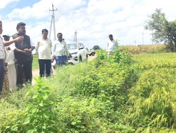 ಮಳೆ : ಬೆಳೆ ಹಾನಿ ಪ್ರದೇಶಗಳನ್ನು ವೀಕ್ಷಿಸಿದ ಶಾಸಕ ಪ್ರಕಾಶ ಕೋಳಿವಾಡ