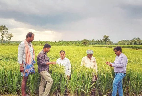 ಪರ್ಯಾಯ ಹಸಿ ಮತ್ತು ಒಣಗಿಸುವ  ಪದ್ಧತಿಯಿಂದ ಪರಿಸರದ ಸಂರಕ್ಷಣೆ