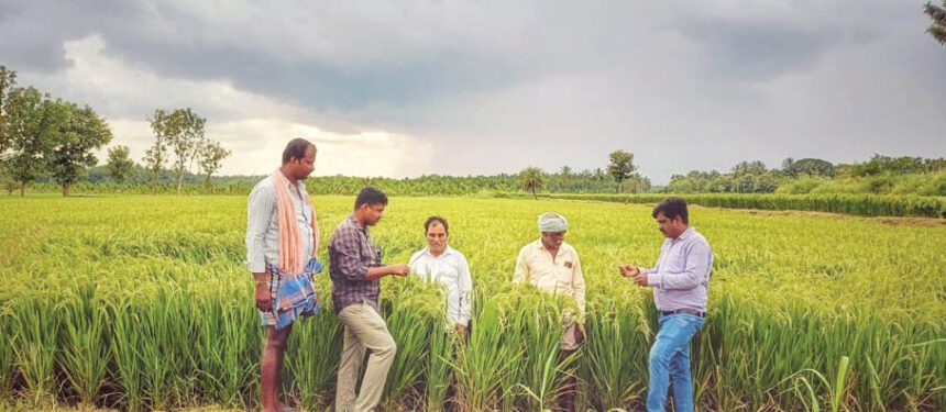 ಪರ್ಯಾಯ ಹಸಿ ಮತ್ತು ಒಣಗಿಸುವ  ಪದ್ಧತಿಯಿಂದ ಪರಿಸರದ ಸಂರಕ್ಷಣೆ