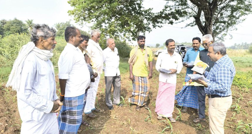 ಈರುಳ್ಳಿ ಬೆಲೆ ಹೆಚ್ಚುವ ಸಾಧ್ಯತೆ